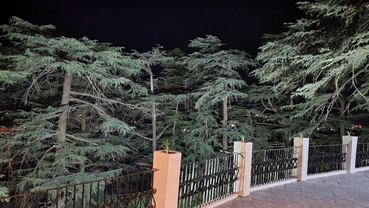 Glen View Heritage Homestay Shimla Esterno foto