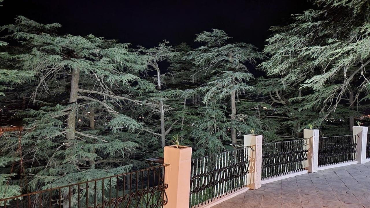 Glen View Heritage Homestay Shimla Esterno foto