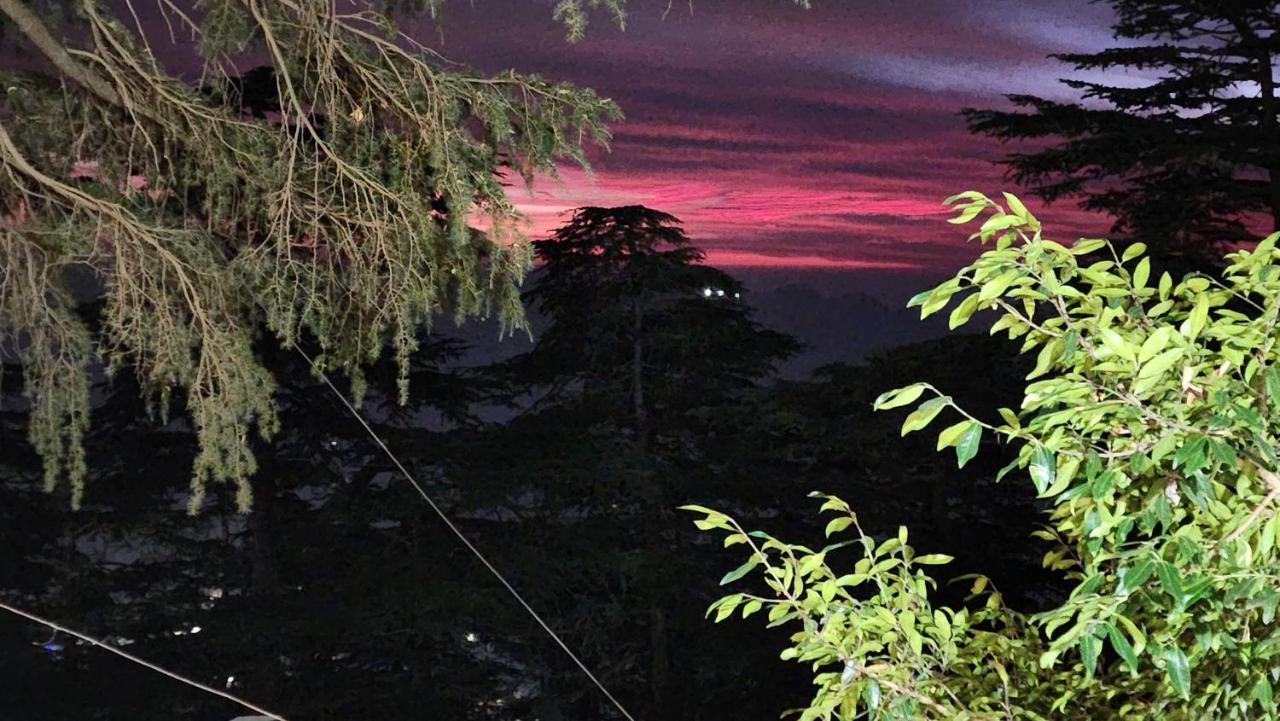 Glen View Heritage Homestay Shimla Esterno foto