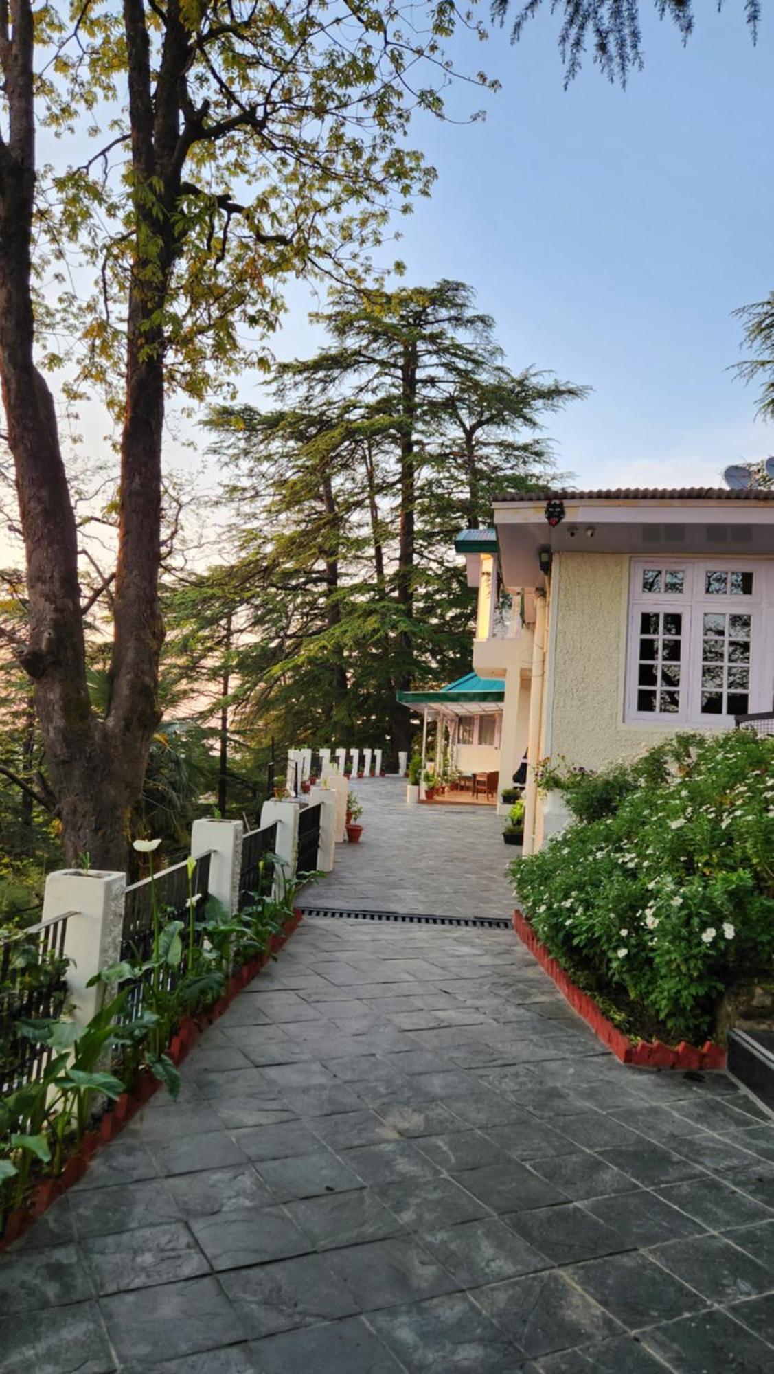 Glen View Heritage Homestay Shimla Esterno foto