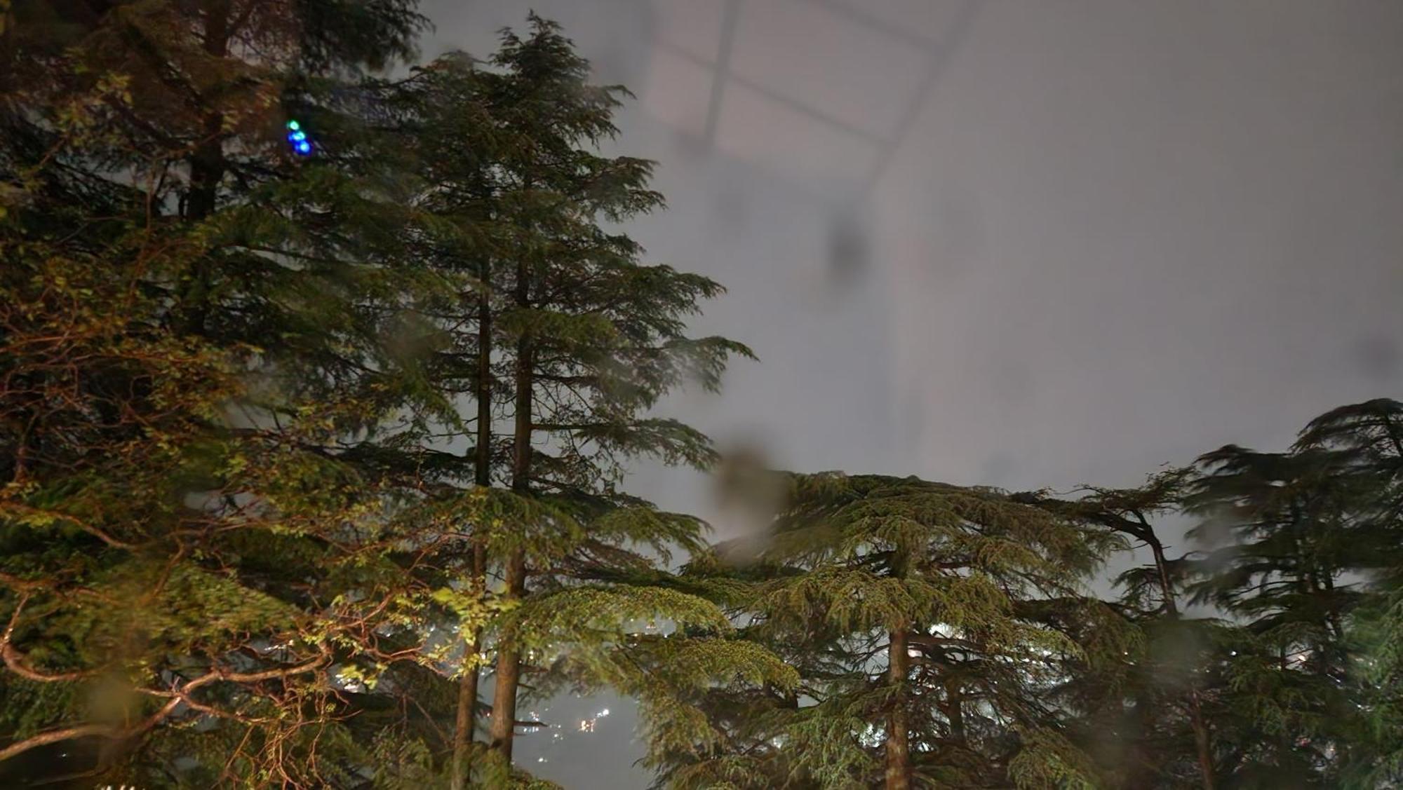 Glen View Heritage Homestay Shimla Esterno foto