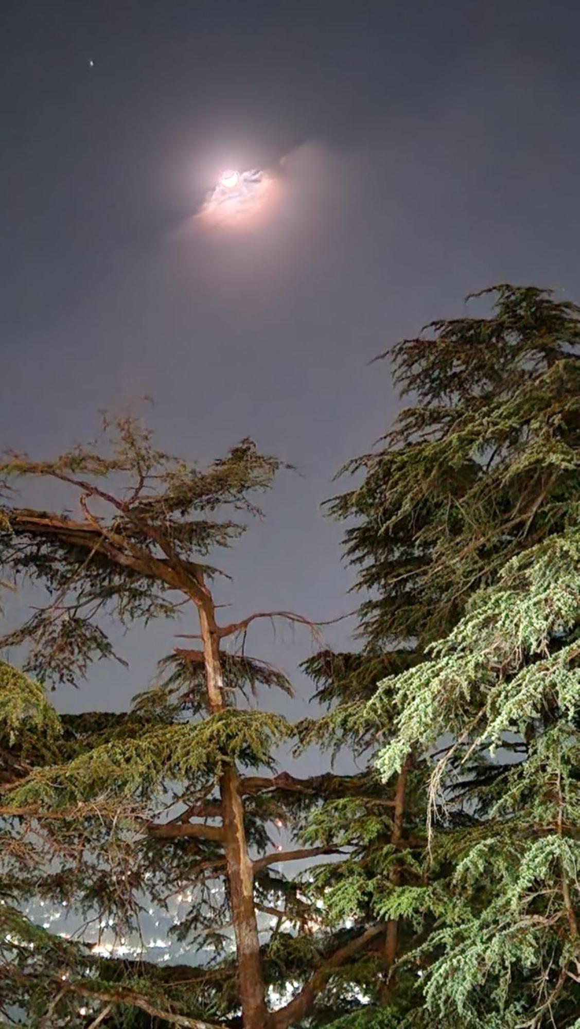 Glen View Heritage Homestay Shimla Esterno foto